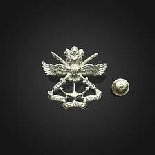 Indian Air Force Badge - Design 06 - Polished Gold finish Defence | Metal Badges