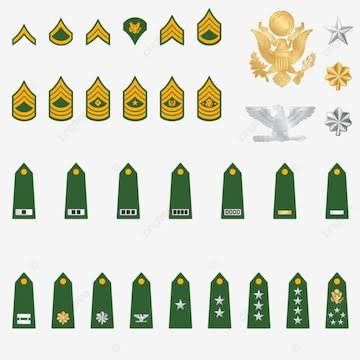 Indian Army Badge - Design 37 - Polished Gold finish Defence | Metal Badges