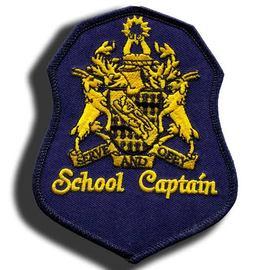 School Badge - Design 02 - Enamel Colour finish Schools | Metal Badges